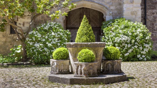 Flowers in the courtyard at Ightham Mote, Kent